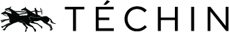 Téchin logo